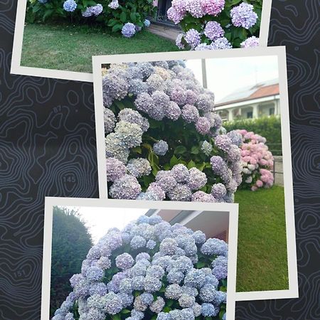 B&B L'Ortensia Vignolo Esterno foto
