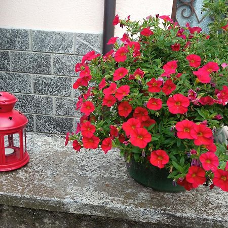 B&B L'Ortensia Vignolo Esterno foto