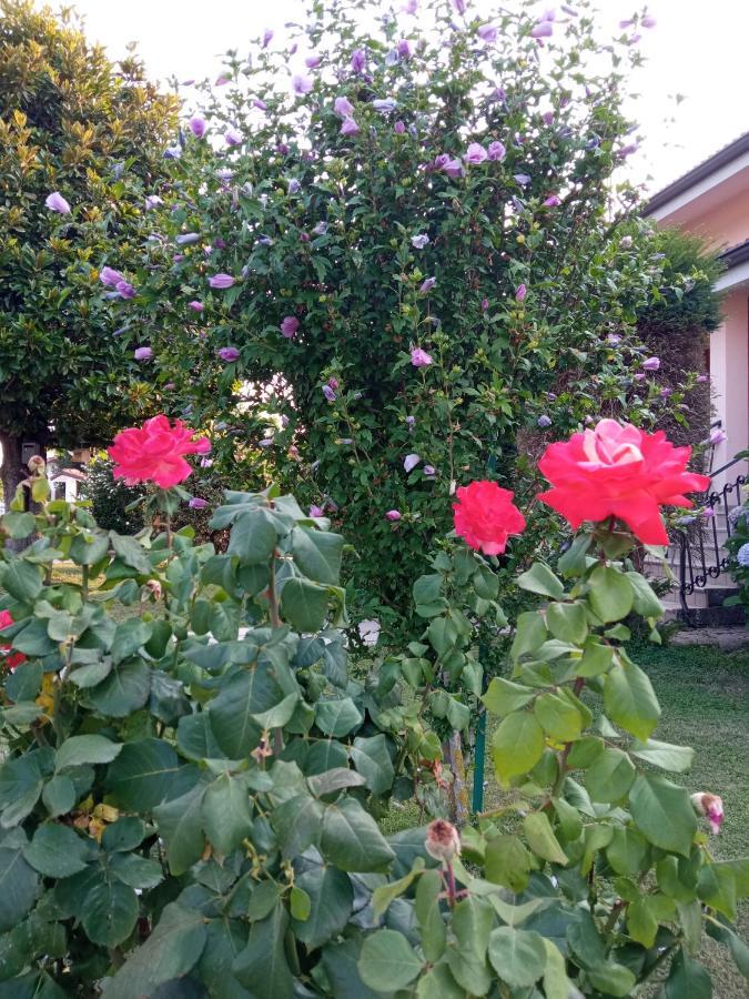 B&B L'Ortensia Vignolo Esterno foto