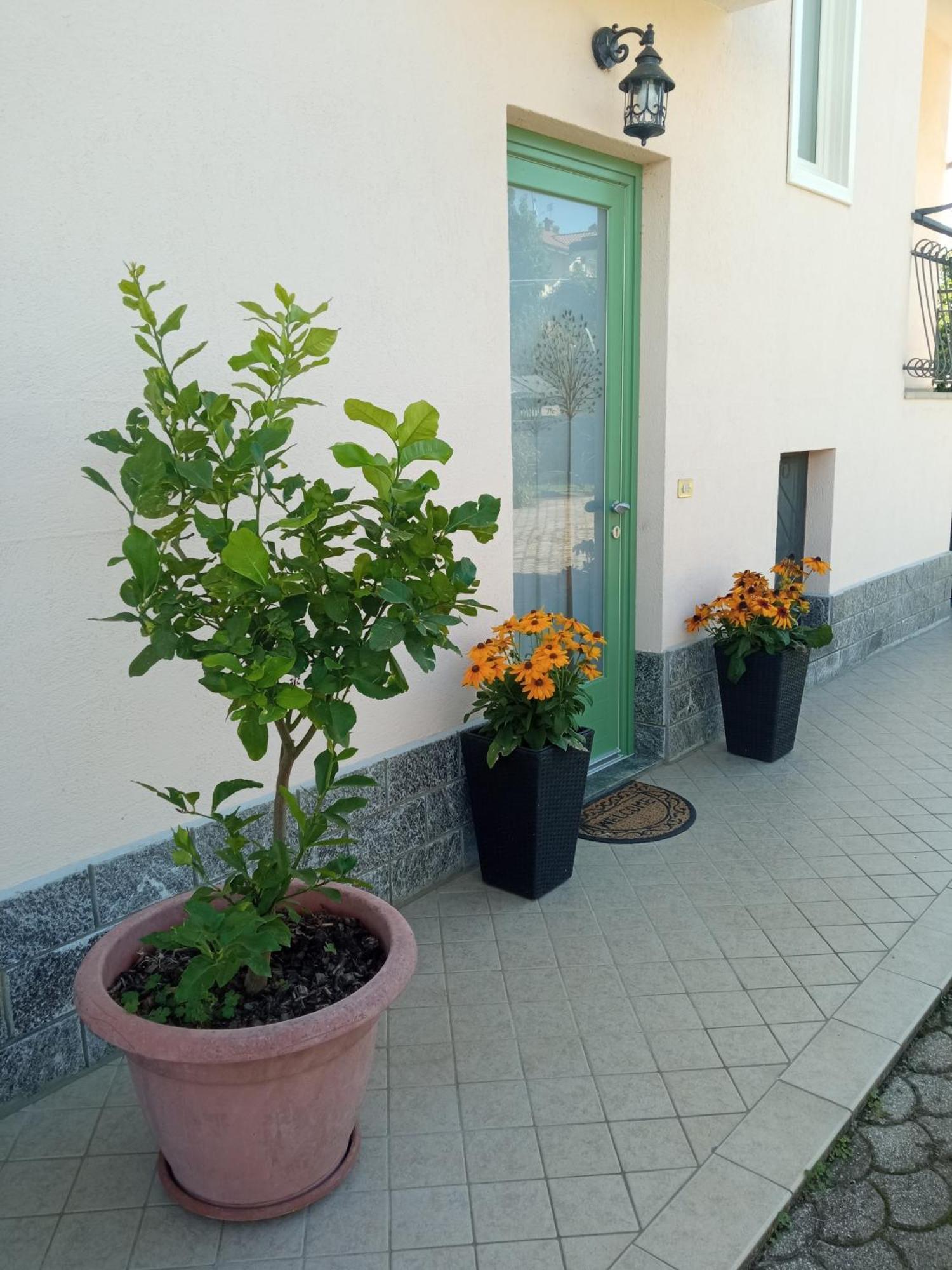 B&B L'Ortensia Vignolo Esterno foto