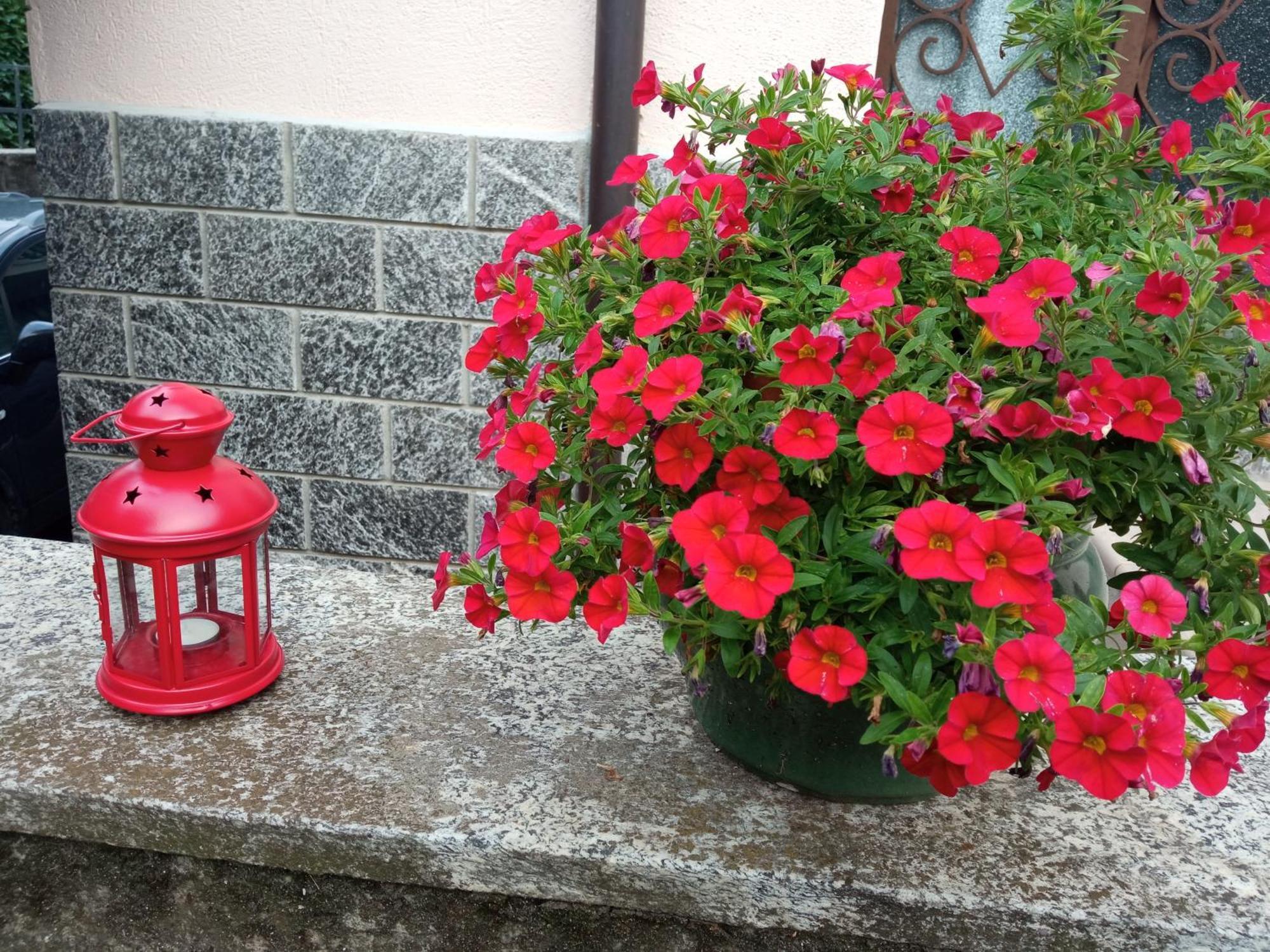 B&B L'Ortensia Vignolo Esterno foto